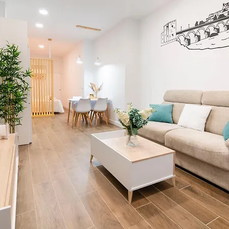 Appartement Loft Premium *